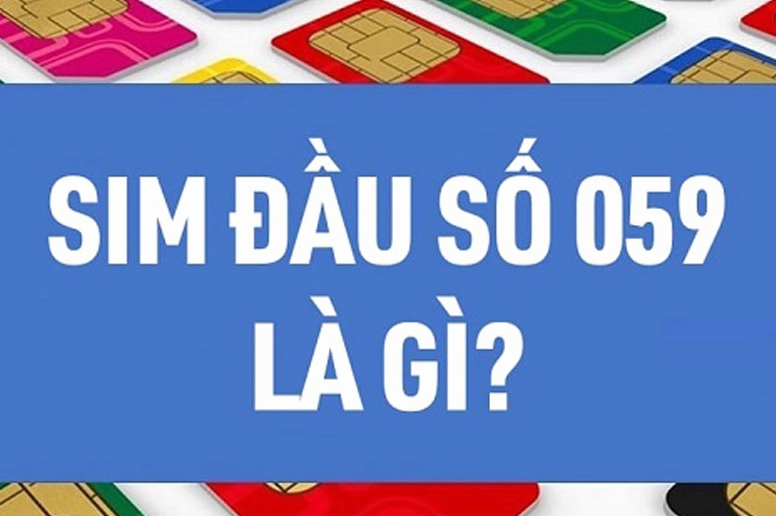 Đầu số 059 là mạng gì