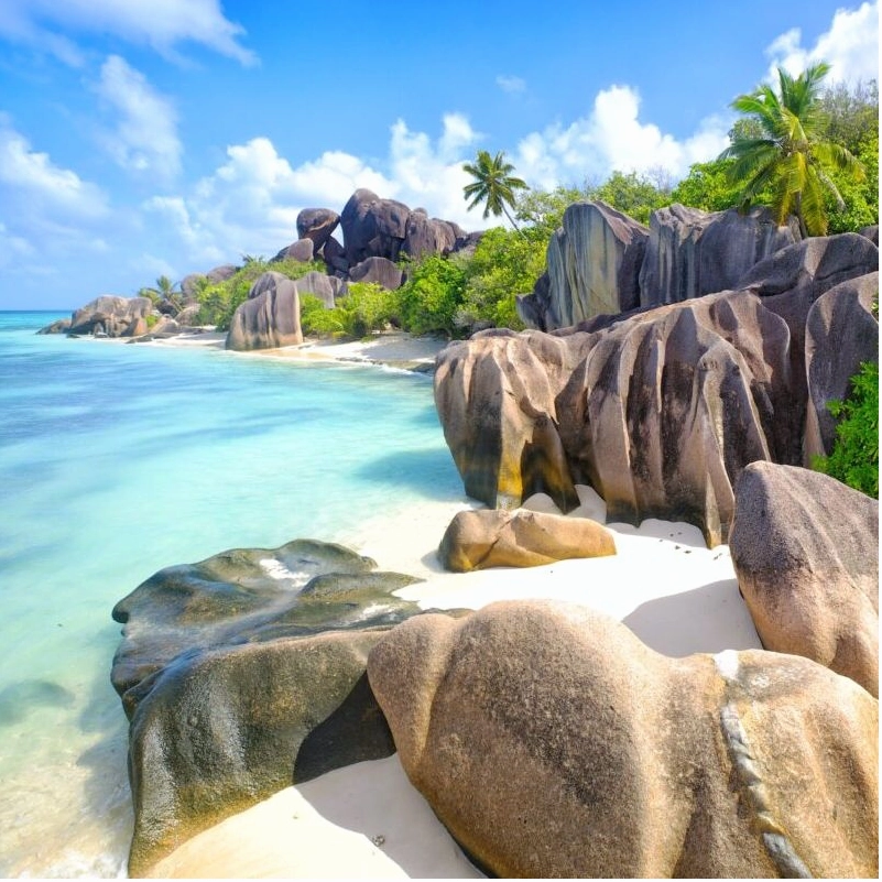 Bãi biển Maldives với cát trắng và nước trong xanh