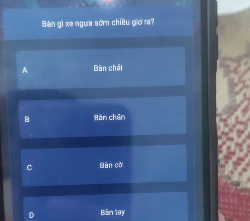 ban-gi-xe-ngua-som-chieu-gio-ra-bi-mat-phong-thuy-chua-ai-ti_410
