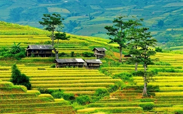 Bản làng yên bình tại Yên Bái