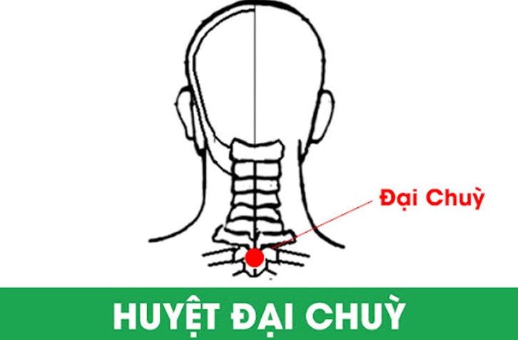 Bản đồ các huyệt đạo liên quan đến huyệt Đại Chùy