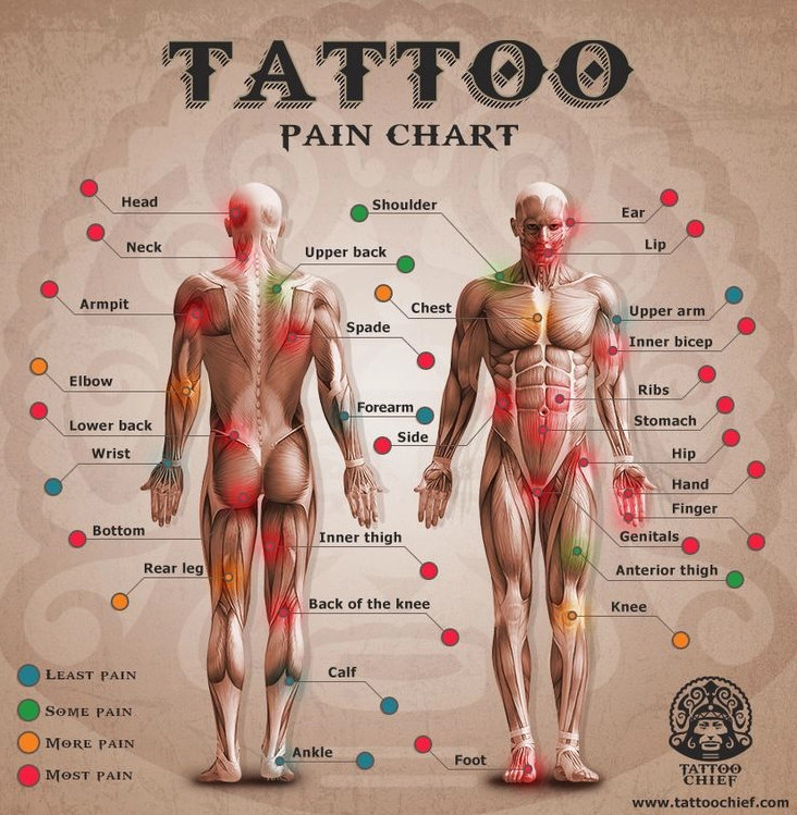 Bản đồ cảm giác đau khi xăm trên cơ thể