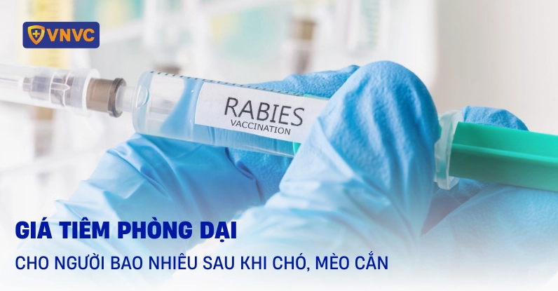 Bảng giá tham khảo tiêm phòng dại
