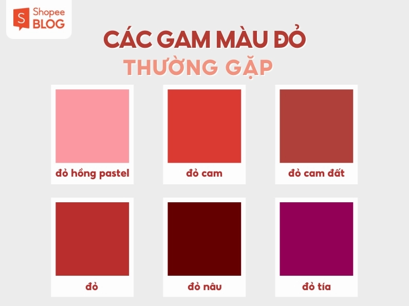 Bảng màu kết hợp đỏ và xanh dương trong thiết kế