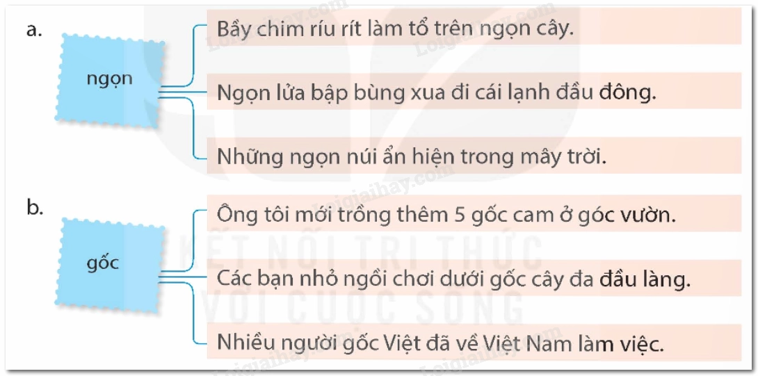 Biểu đồ minh họa sự thay đổi ý nghĩa từ ngữ
