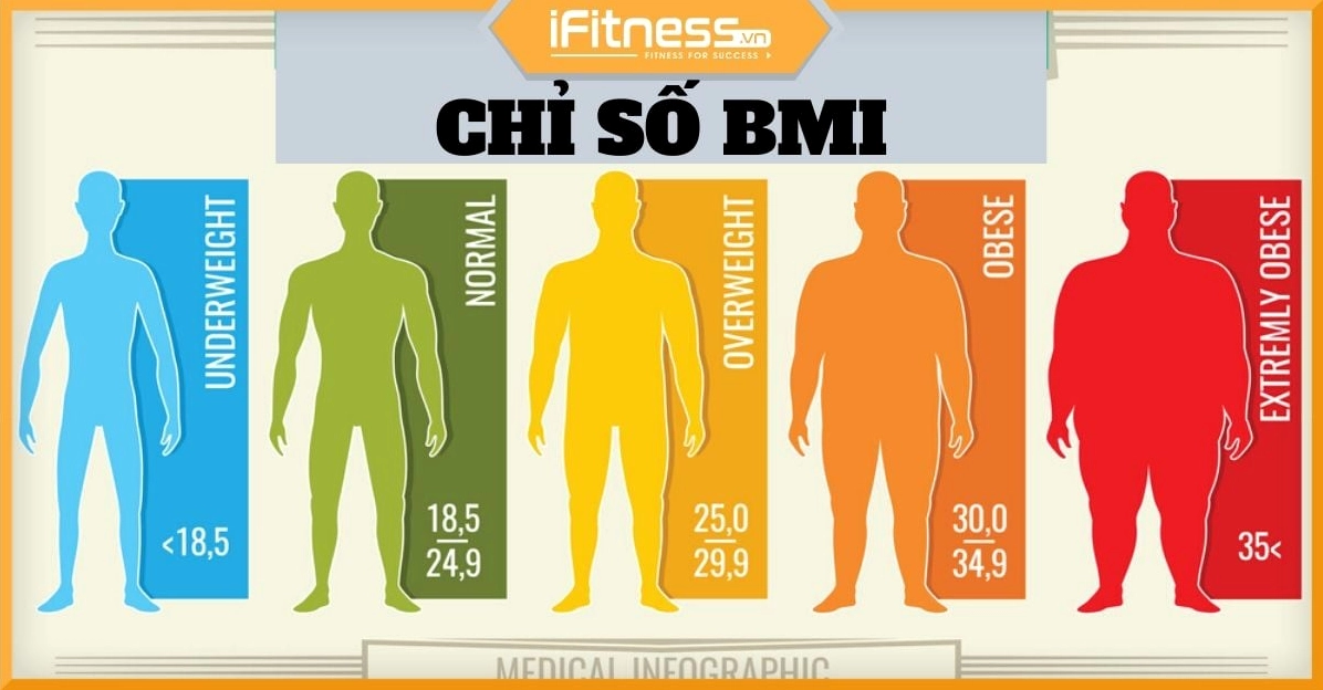 Biểu đồ phân loại chỉ số BMI