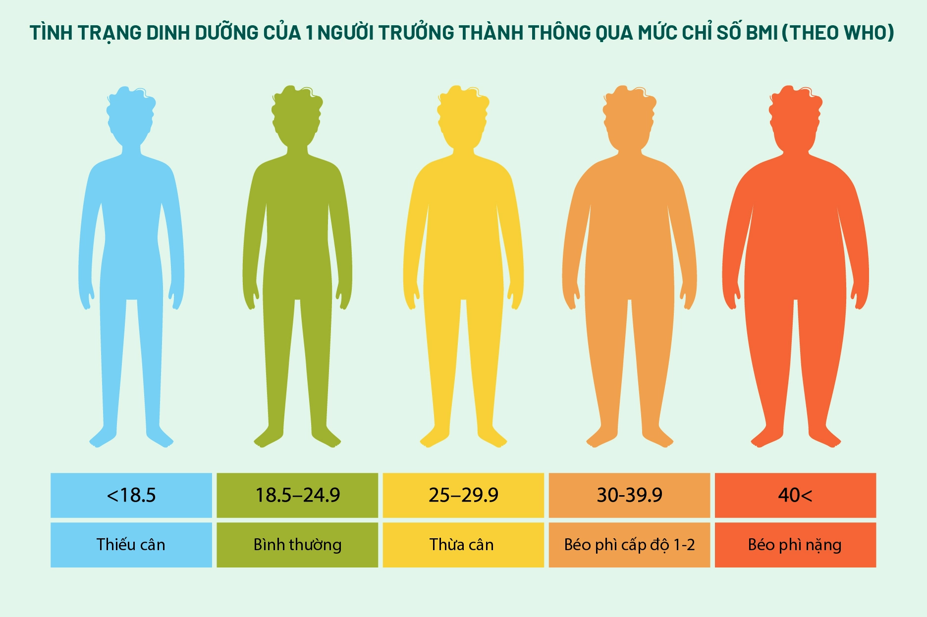 Biểu đồ phân loại tình trạng dinh dưỡng theo BMI