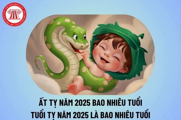 Biểu tượng con Rắn trong phong thủy