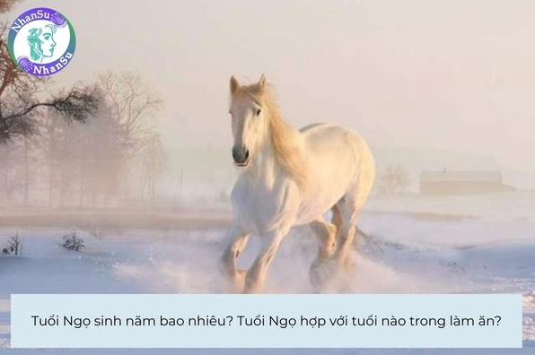 Biểu tượng tuổi Ngọ trong 12 con giáp