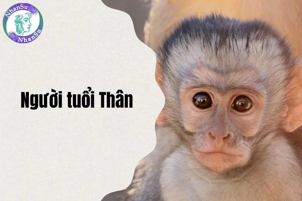 Biểu tượng tuổi Thân trong phong thủy
