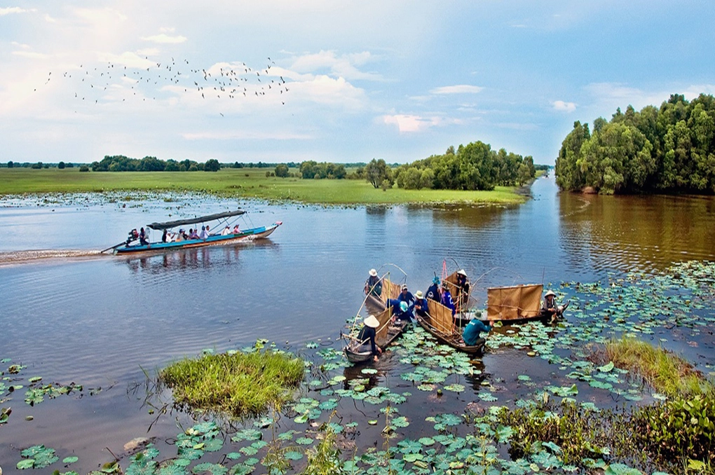 Cận cảnh một loài chim tại Tràm Chim