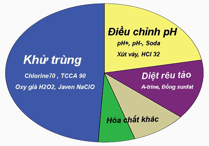 cau-o-kien-thuc-chat-khu-trung-nuoc-be-boi-la-gi_705