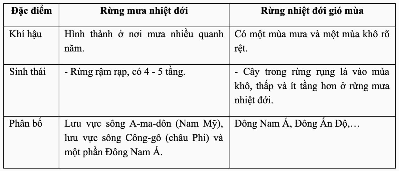 Cấu trúc phân tầng của rừng nhiệt đới