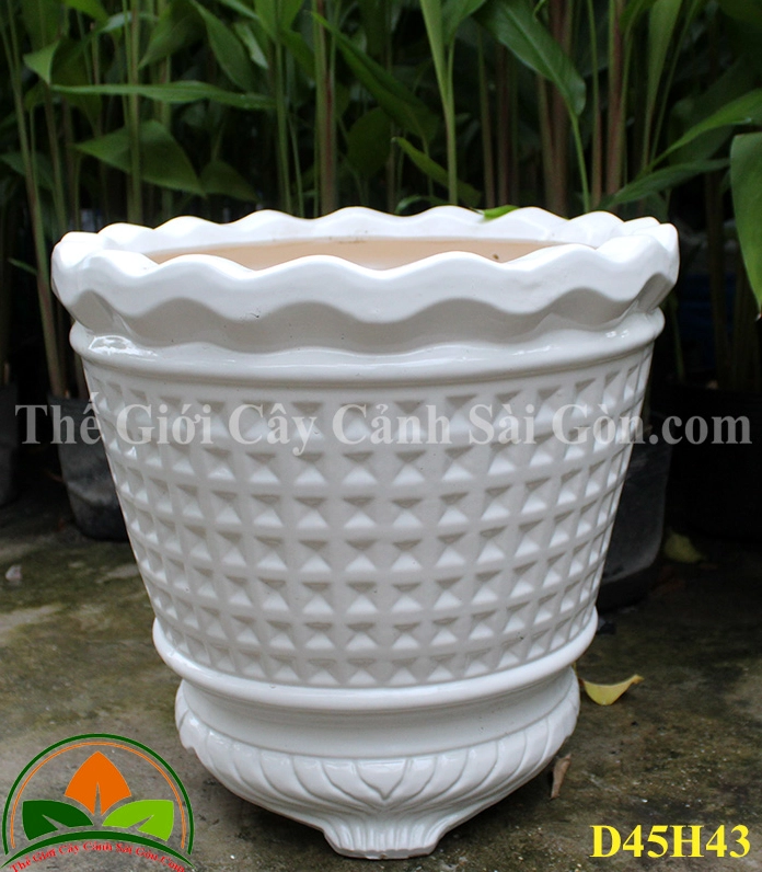 Chậu sứ ba chân độc đáo