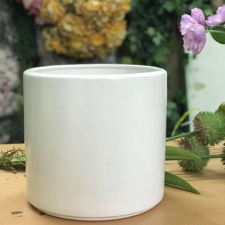 Chậu sứ trắng trang trí ban công