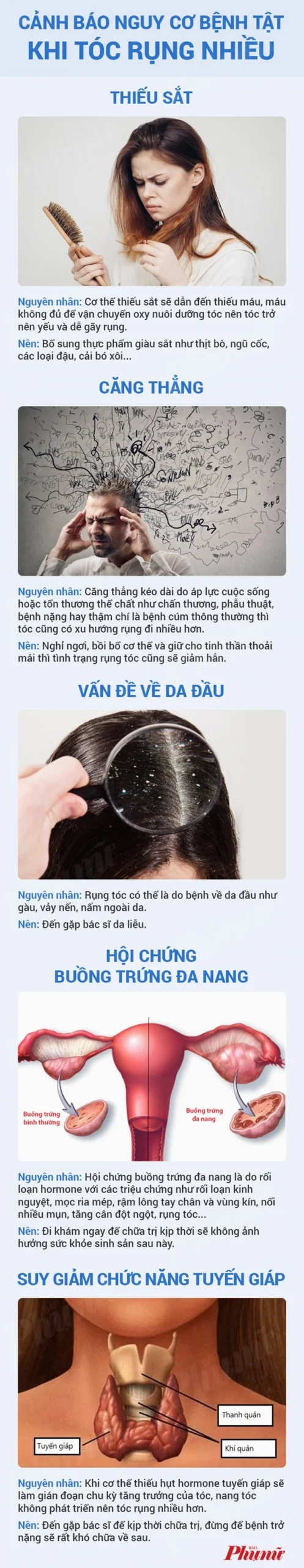 Chế độ ăn uống lành mạnh cho mái tóc