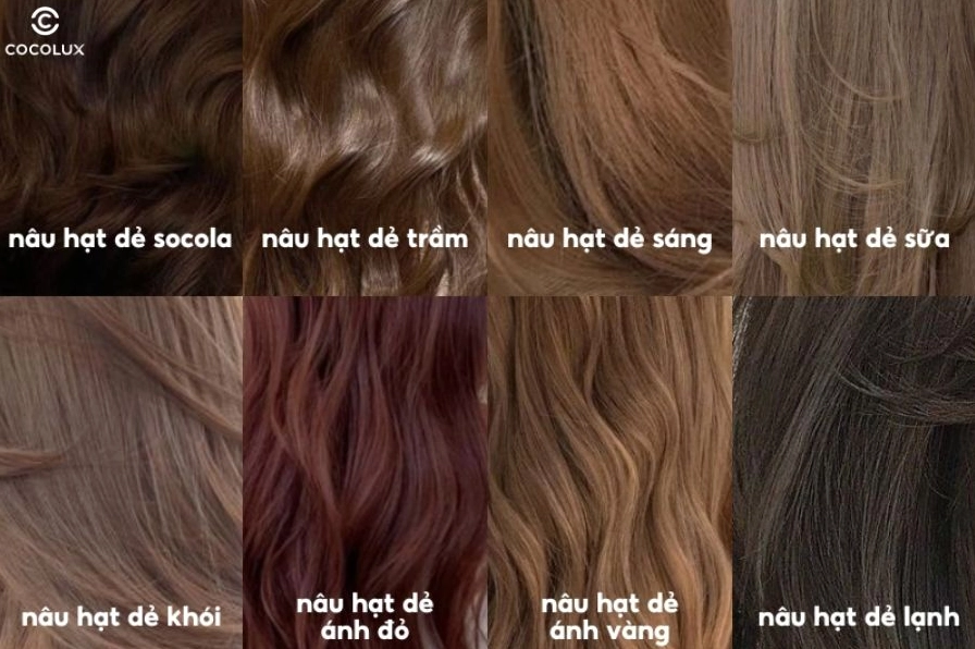Cô gái với mái tóc màu nâu hạt dẻ óng ả