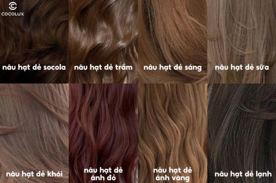 Cô gái với mái tóc màu nâu hạt dẻ trầm sang trọng