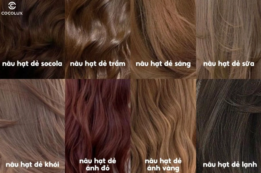 Cô gái với mái tóc nhuộm nâu hạt dẻ mềm mại