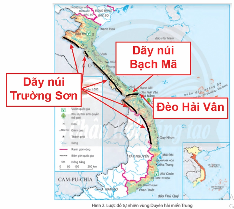 Con đường mòn xuyên rừng tại Dãy Bạch Mã