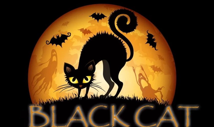 Cú đêm đậu trên cành cây trong đêm Halloween