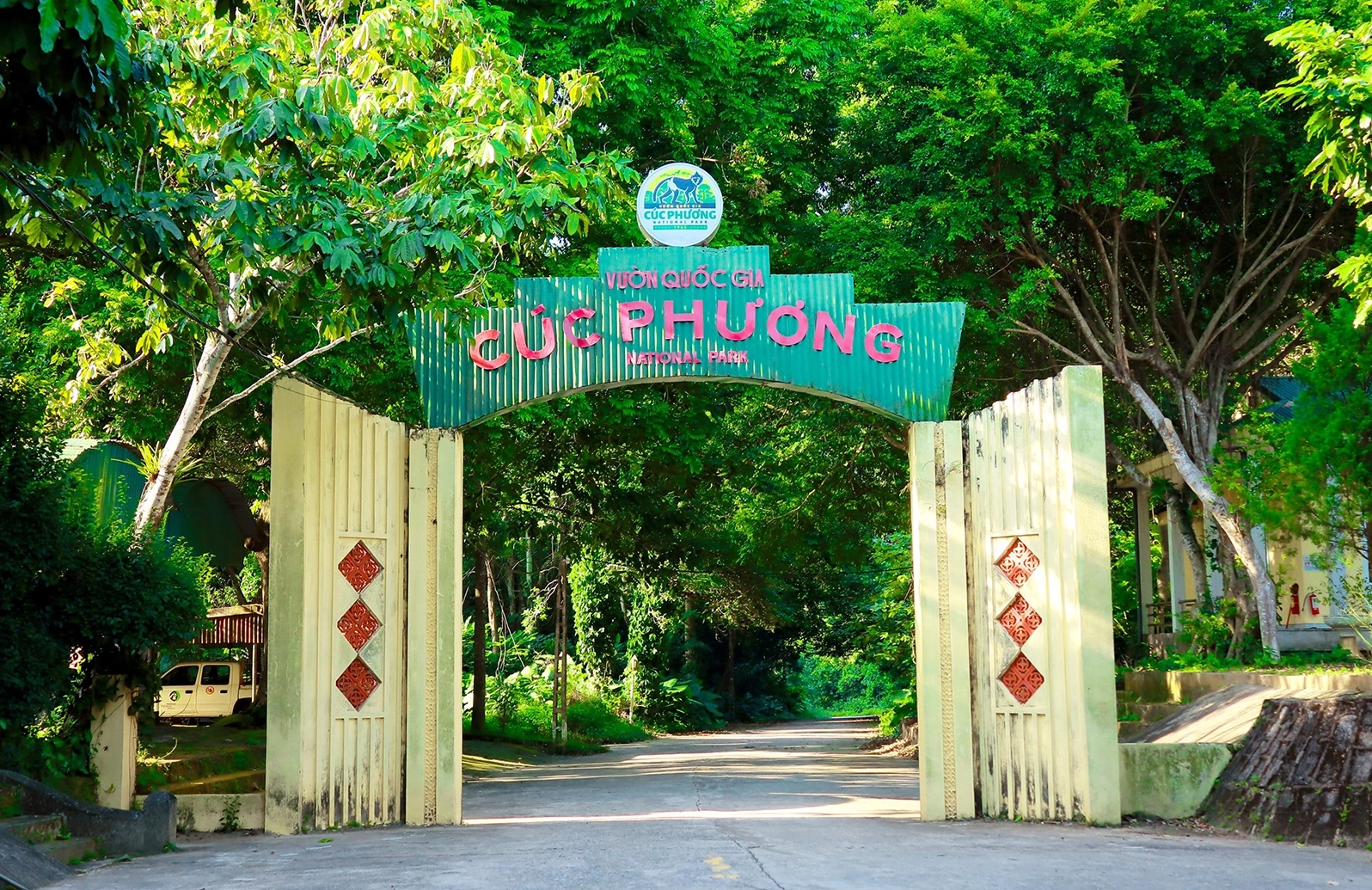 cuc-phuong-2026-kham-pha-vuon-quoc-gia-va-kinh-nghiem-du-lic_583