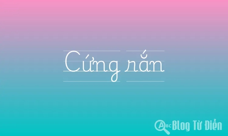 cung-ran-la-gi-giai-ma-khai-niem-tu-a-z-2026_243