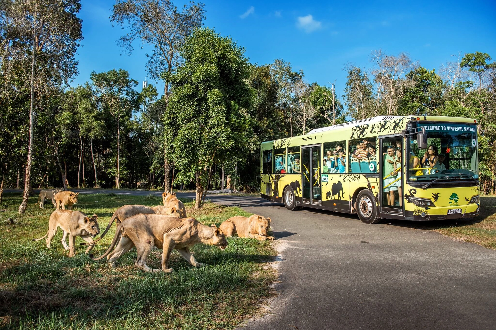 Du khách tham quan khu vực Safari bằng xe bus
