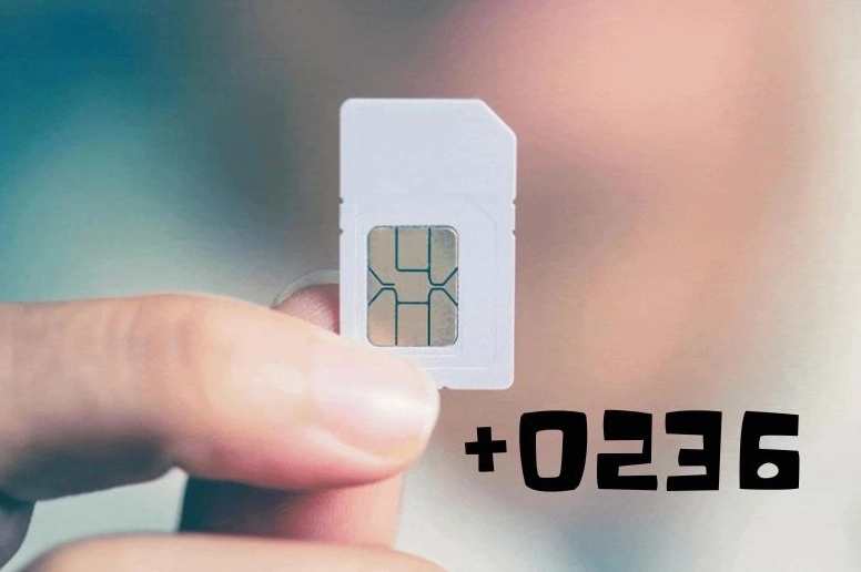 Giải mã đầu số 0236