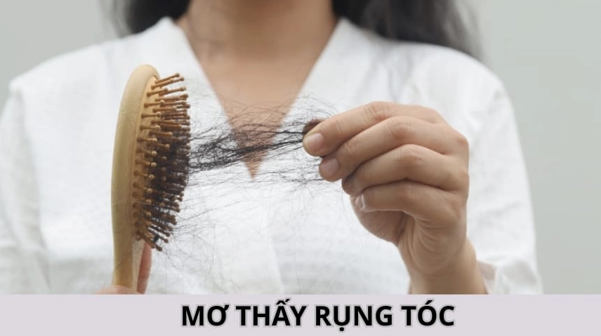 giai-ma-giac-mo-thay-rung-toc-y-nghia-va-loi-khuyen-2026_324