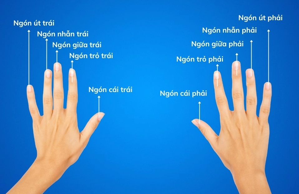 giai-ma-y-nghia-eo-nhan-cac-ngon-tay-nu-phong-thuy-2026_335