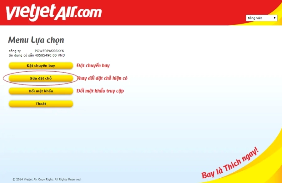 Hành khách xem thông tin vé máy bay Vietjet