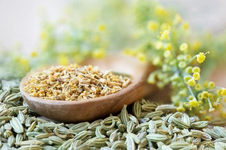 Hạt thì là hữu cơ - một loại gia vị quý