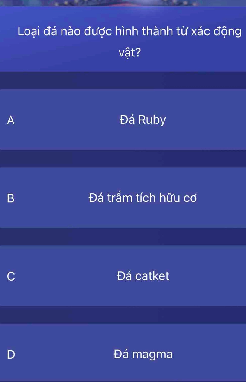 Hình ảnh hóa thạch côn trùng trong đá hổ phách