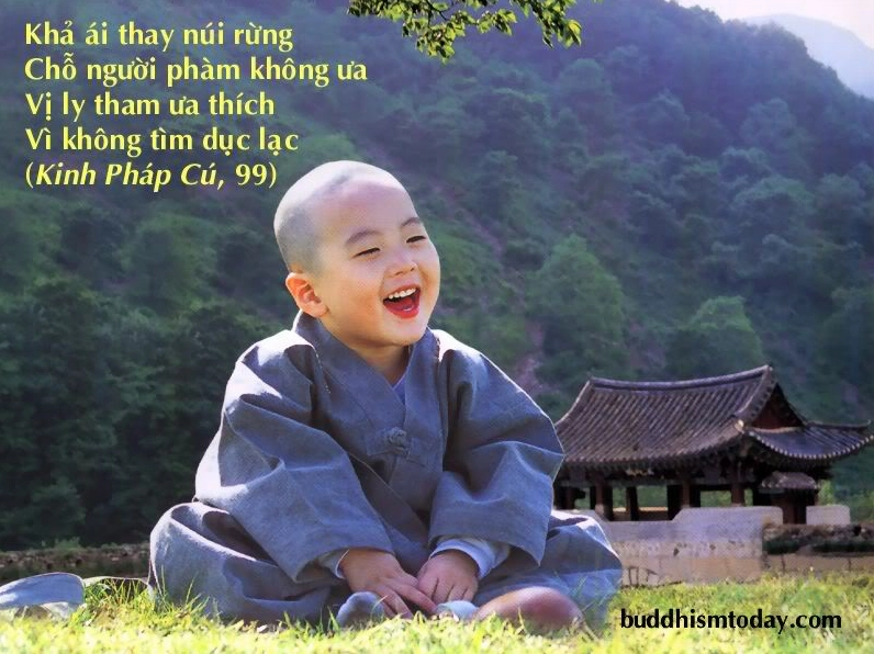 Hình ảnh minh họa bài học cuộc sống