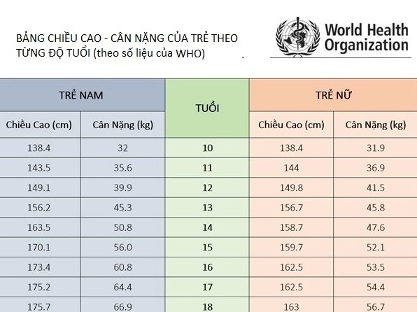 Hình ảnh minh họa chỉ số BMI