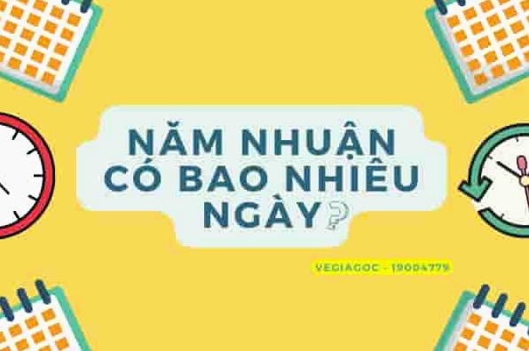 Hình ảnh minh họa ngày 29 tháng 2 trong năm nhuận