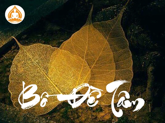 Hình ảnh minh họa tâm bồ đề