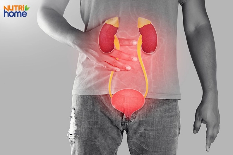 Hình ảnh minh họa vị trí đau thận