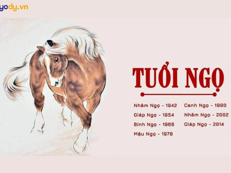 Hình ảnh người tuổi Ngọ năng động