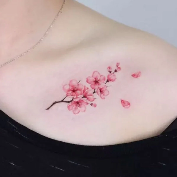 Hình xăm hoa anh đào rơi trên lưng