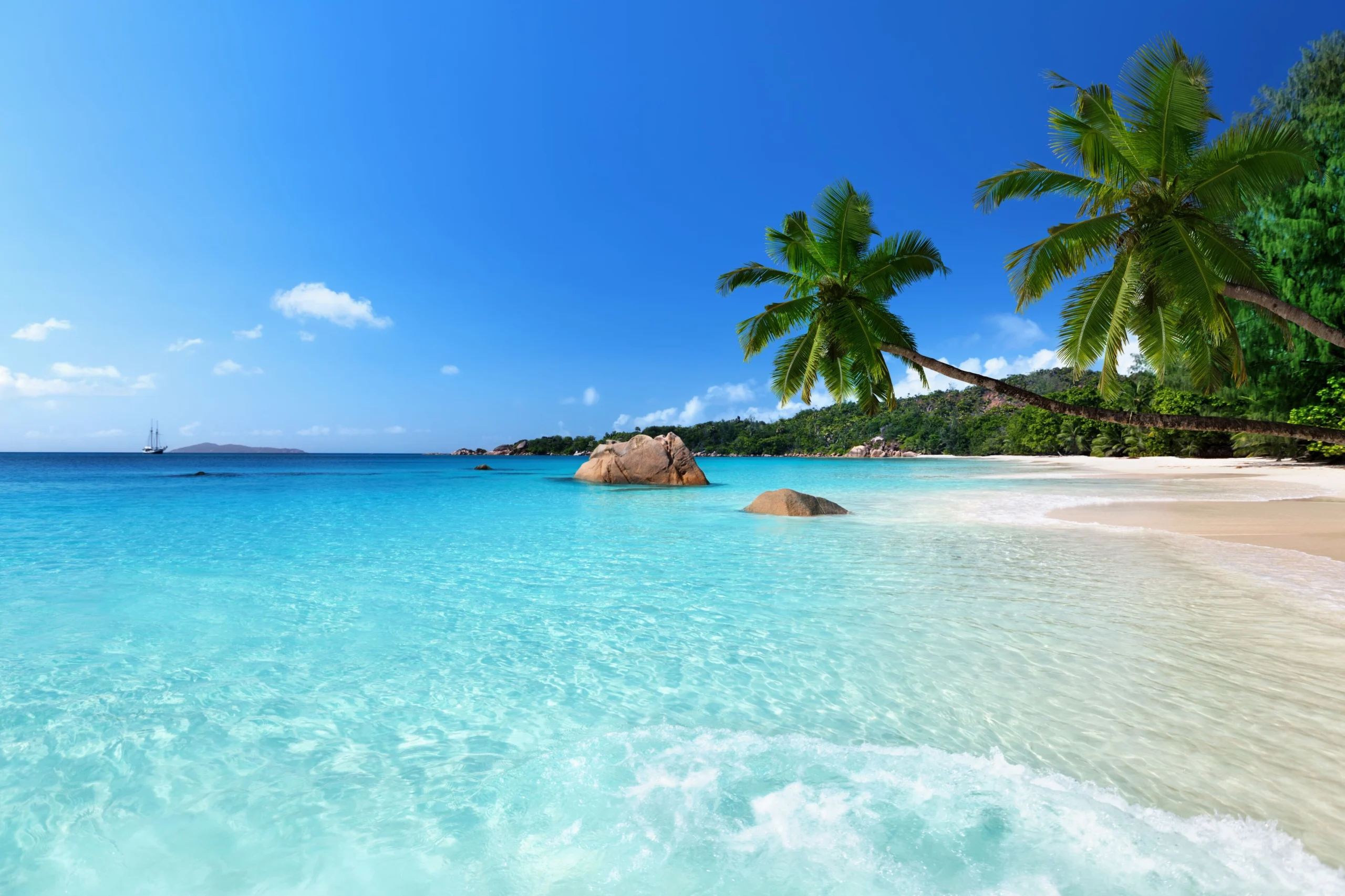 Hoạt động bơi lội và thư giãn trên bãi biển Anse Lazio