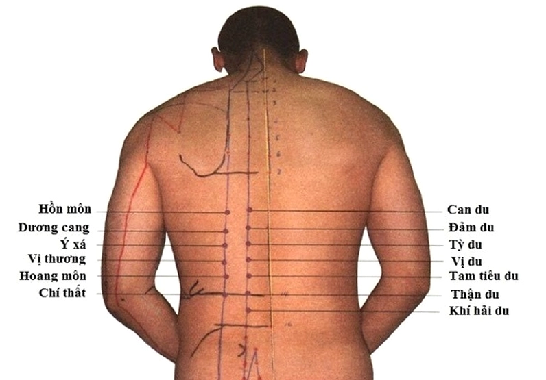 Hướng dẫn bấm huyệt Thận Du