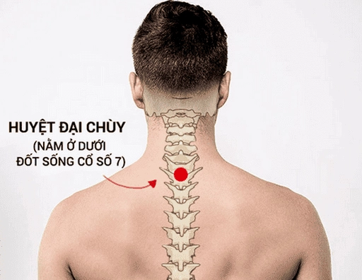 Hướng dẫn xác định vị trí huyệt Đại Chùy