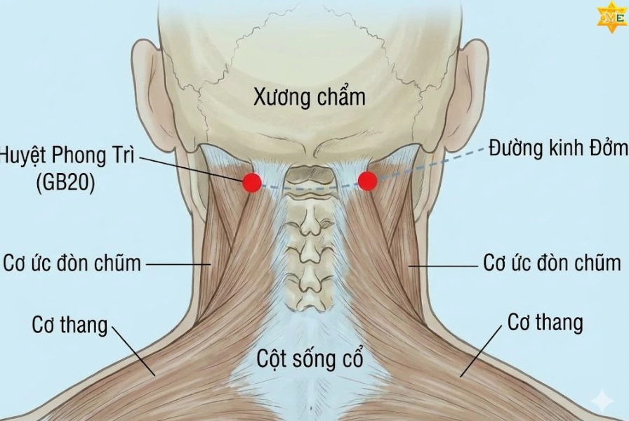 huyet-phong-tri-bi-quyet-giam-au-au-cai-thien-thi-luc_926