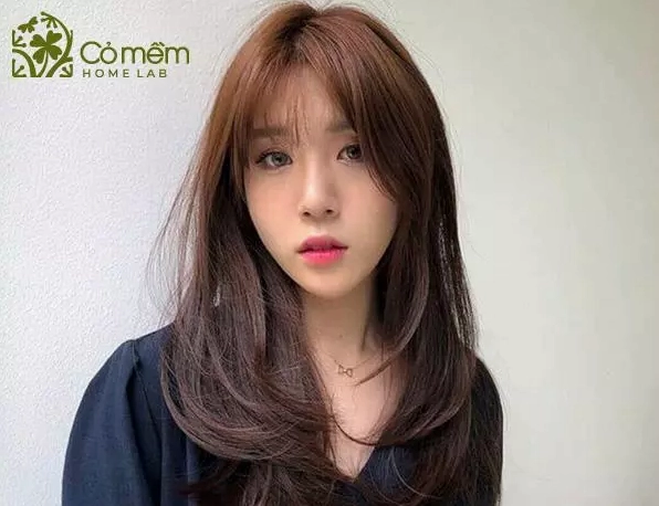 kham-pha-cac-loai-toc-mai-huong-dan-chon-kieu-phu-hop-2026_897