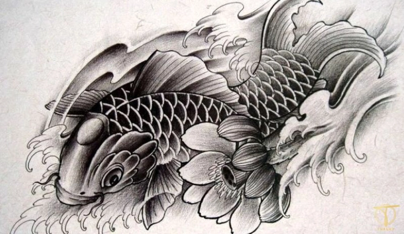 kham-pha-hinh-xam-ca-chep-i-net-y-nghia-sau-sac-nghe-thuat-o_927