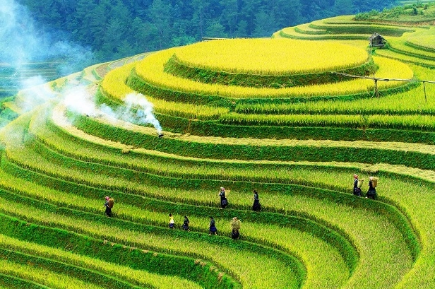 kham-pha-iem-du-lich-mu-cang-chai-hap-dan-nhat-2026_787
