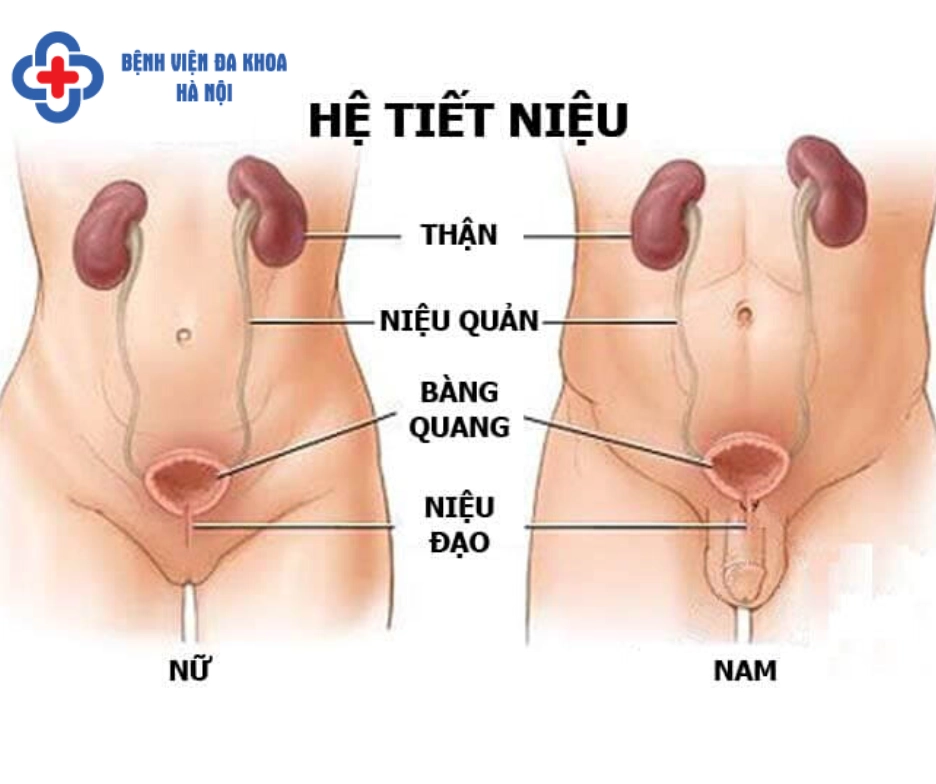 kham-than-o-au-tot-nhat-2026-huong-dan-chi-tiet_134