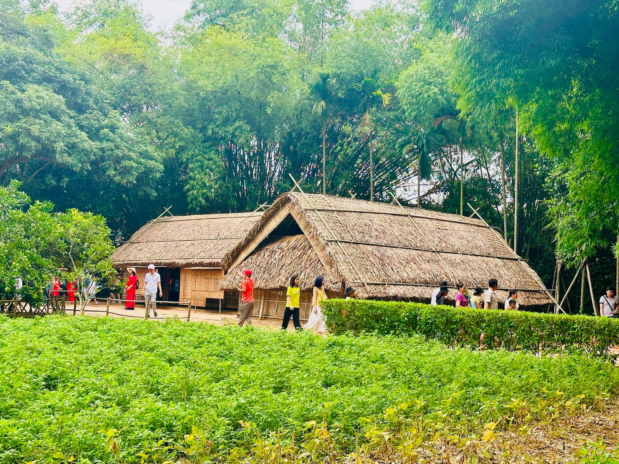 Khu di tích Làng Sen nhìn từ trên cao